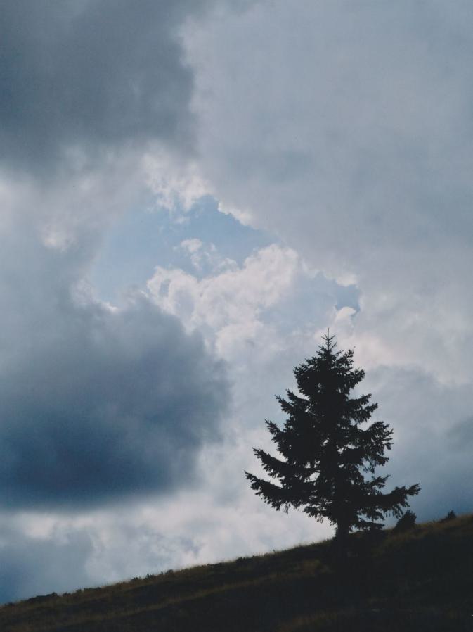 EXIF on EXIF on