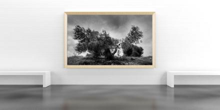 FineART-Drucke auf Fotopapier, Folien, Baryt, Canvas, Hotpress, Metallic-Papier u.v.a. FineART-Drucke auf Fotopapier, Folien, Baryt, Canvas, Hotpress, Metallic-Papier u.v.a.