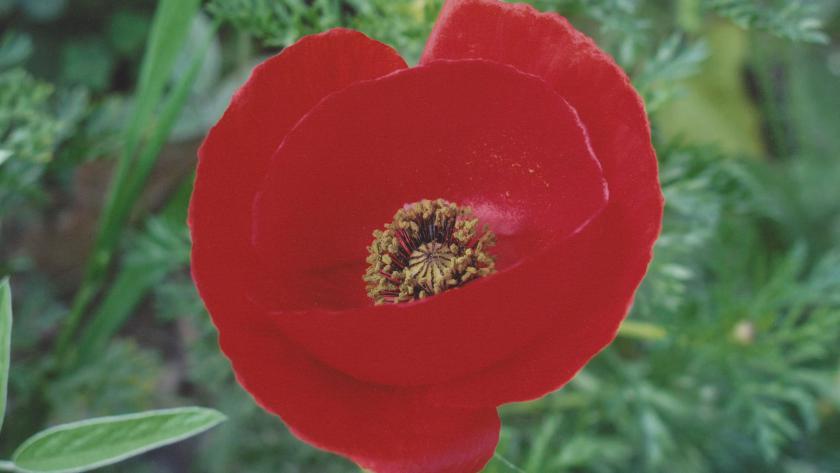 Digitalfoto belichtet