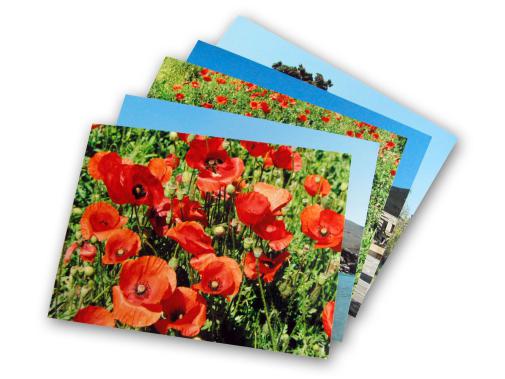 Bild, Digitalbild, Digitalfoto, Foto, Fotodruck, Foto-Druck, Belichtung, Ausdruck, Belichtet, gedruckt, Ausbelichtung, Fotodrucker, RTP, Ready-2-Print