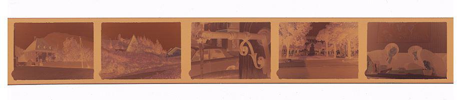 Minox-Negative digitalisieren