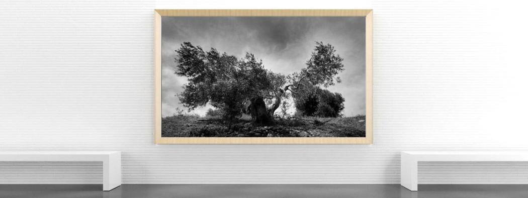 Foto, Digitalfoto, Fineart, Fineart-Druck, Fotodruck, Galerie, Museum, Qualität, Ausstellung, Tintenstrahl, Pigmentierte Tinte