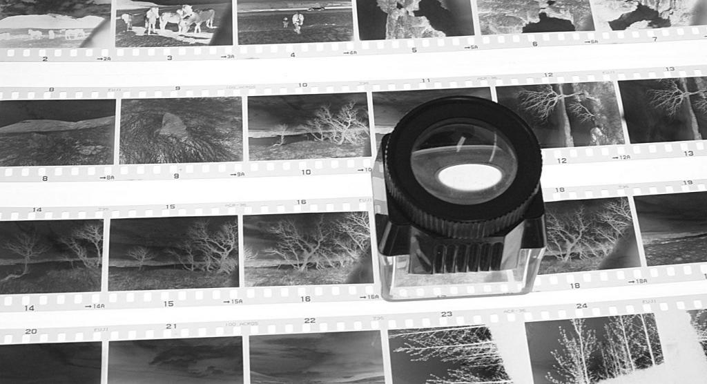 Schwarzweiss-Negative digitalisieren