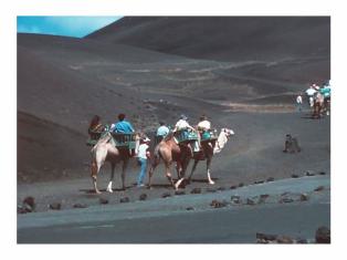 Schmalfilm Bild cropped Schmalfilm Bild cropped