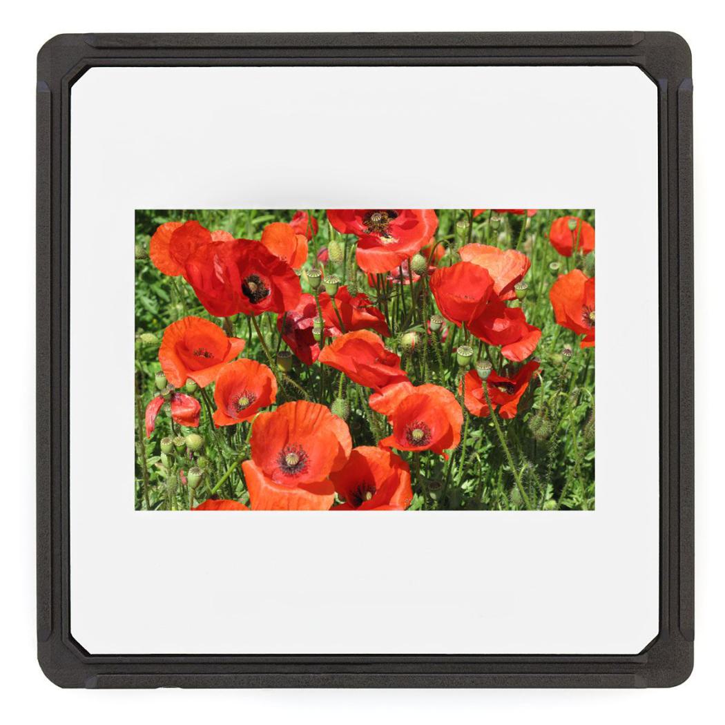 Wir digitalisieren (scannen) gerahmte Kleinbild-Dias in perfekter Qualität.