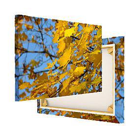 Fotoleinwand bestellen Fotoleinwand bestellen