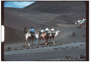 Schmalfilm Vollformat klein