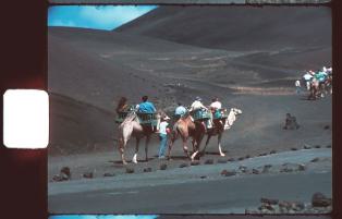 Schmalfilm Vollformat groß Schmalfilm Vollformat groß