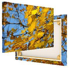 Fotoleinwand bestellen