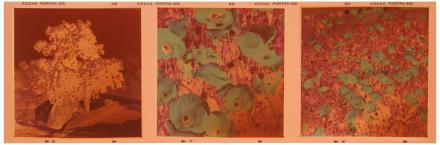 Wir belichten und drucken Digitalfotos von ihren Mittelformat-Negativen (4,5x6 cm, 6x6 cm, 6x7 cm, 6x8 cm, 6x9 cm).